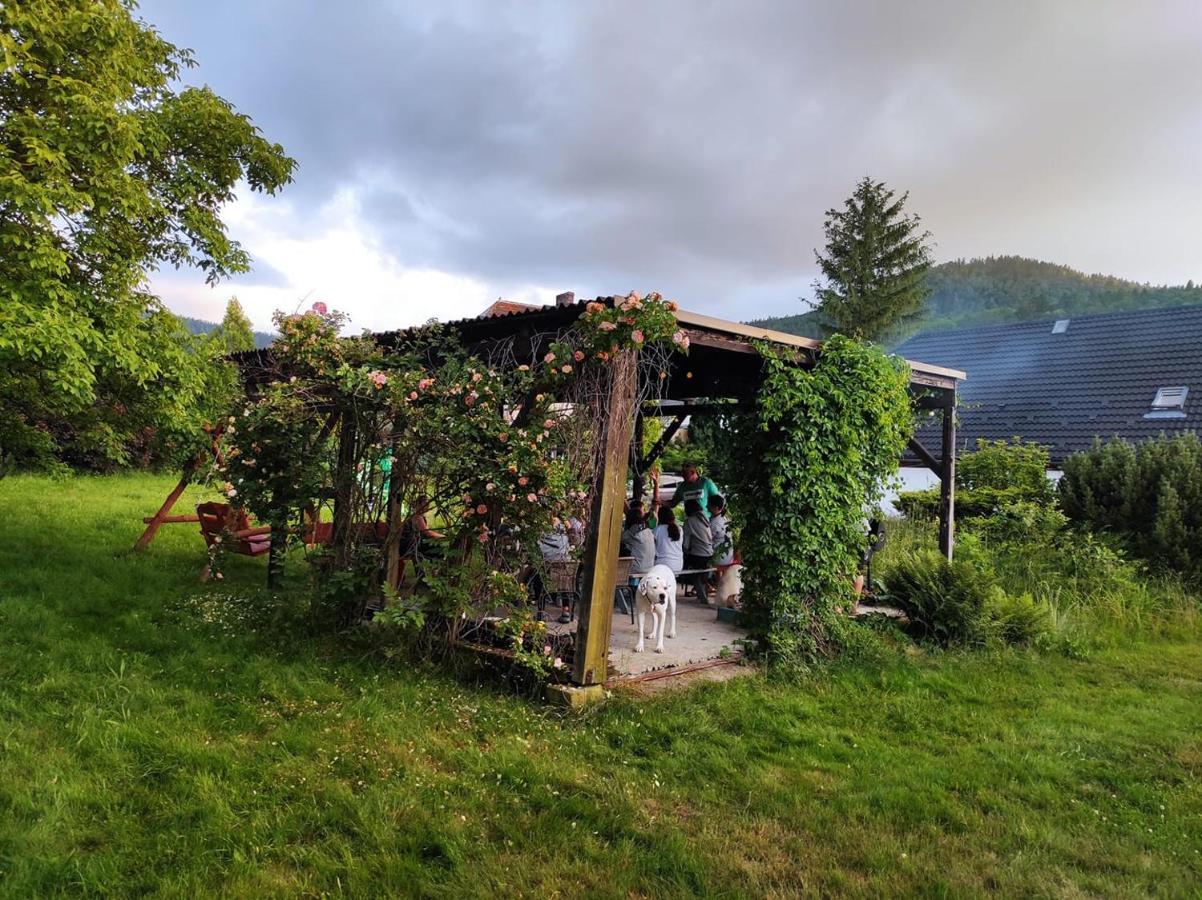 Osada Pogodno Villa Miłków Buitenkant foto